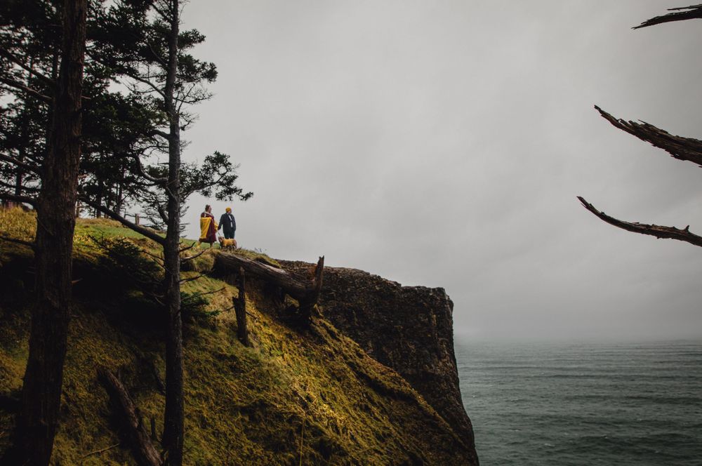 Figures stand on a mossy cliff edge overlooking a foggy Pacific Northwest coastline.