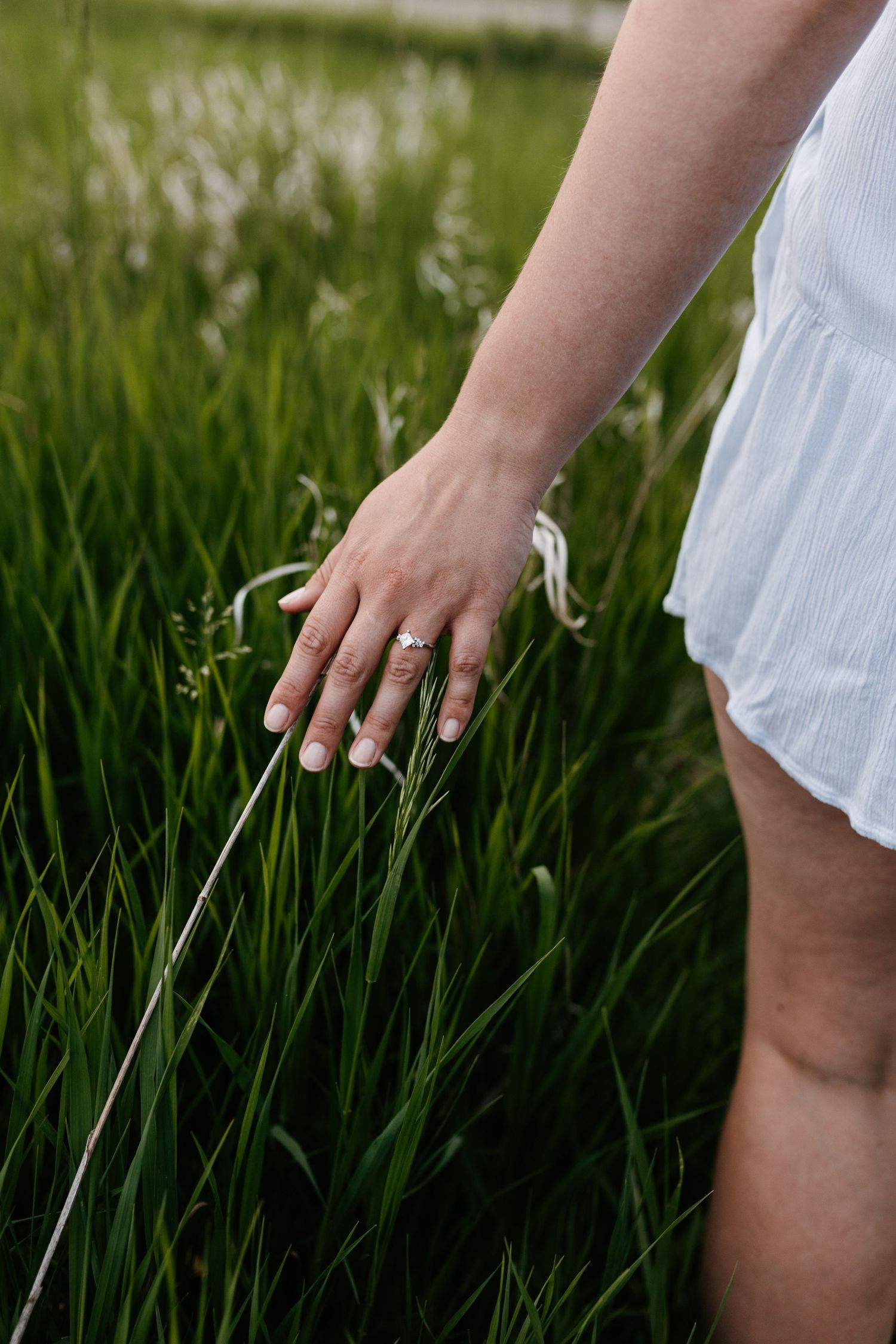 A hand gently brushes through tall green grass in a field during a summer afternoon.