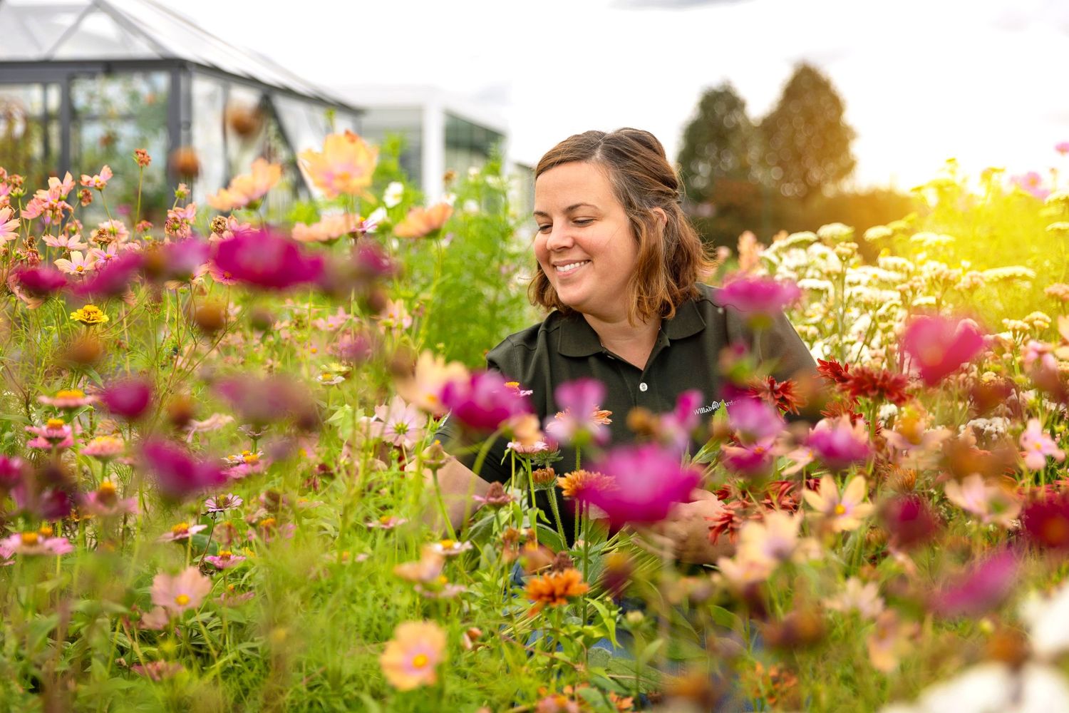 Person enjoying colorful flower garden with pink cosmos blooms in sunlight.