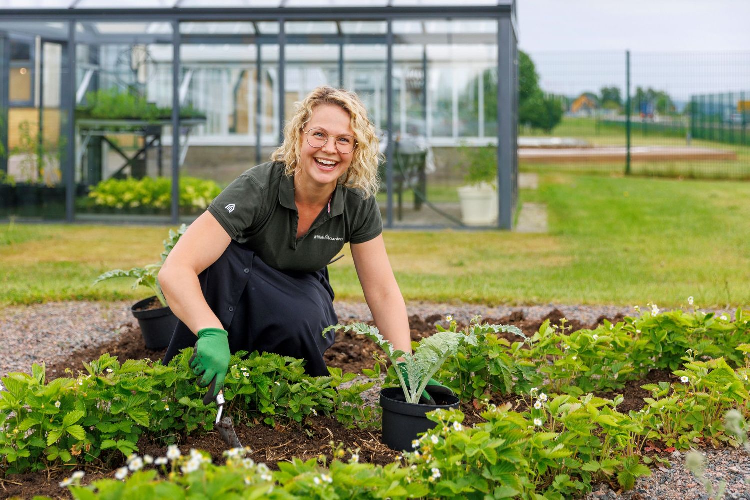 Gardener working in vegetable garden bed near greenhouse.