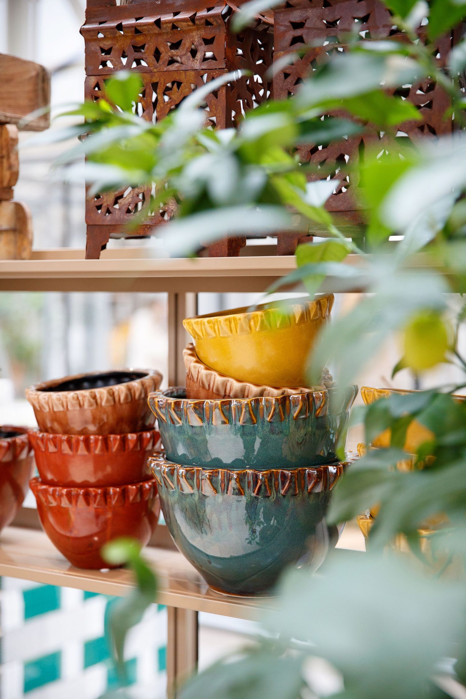 Colorful ceramic bowls with ruffled edges displayed on wooden shelves with green leaves in foreground.