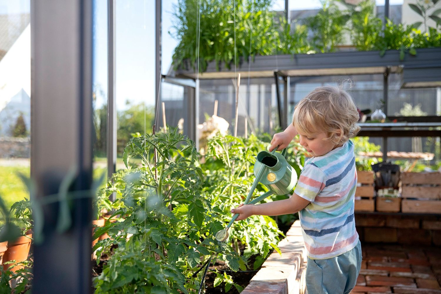 Young gardener tending to plants on an outdoor terrace garden.