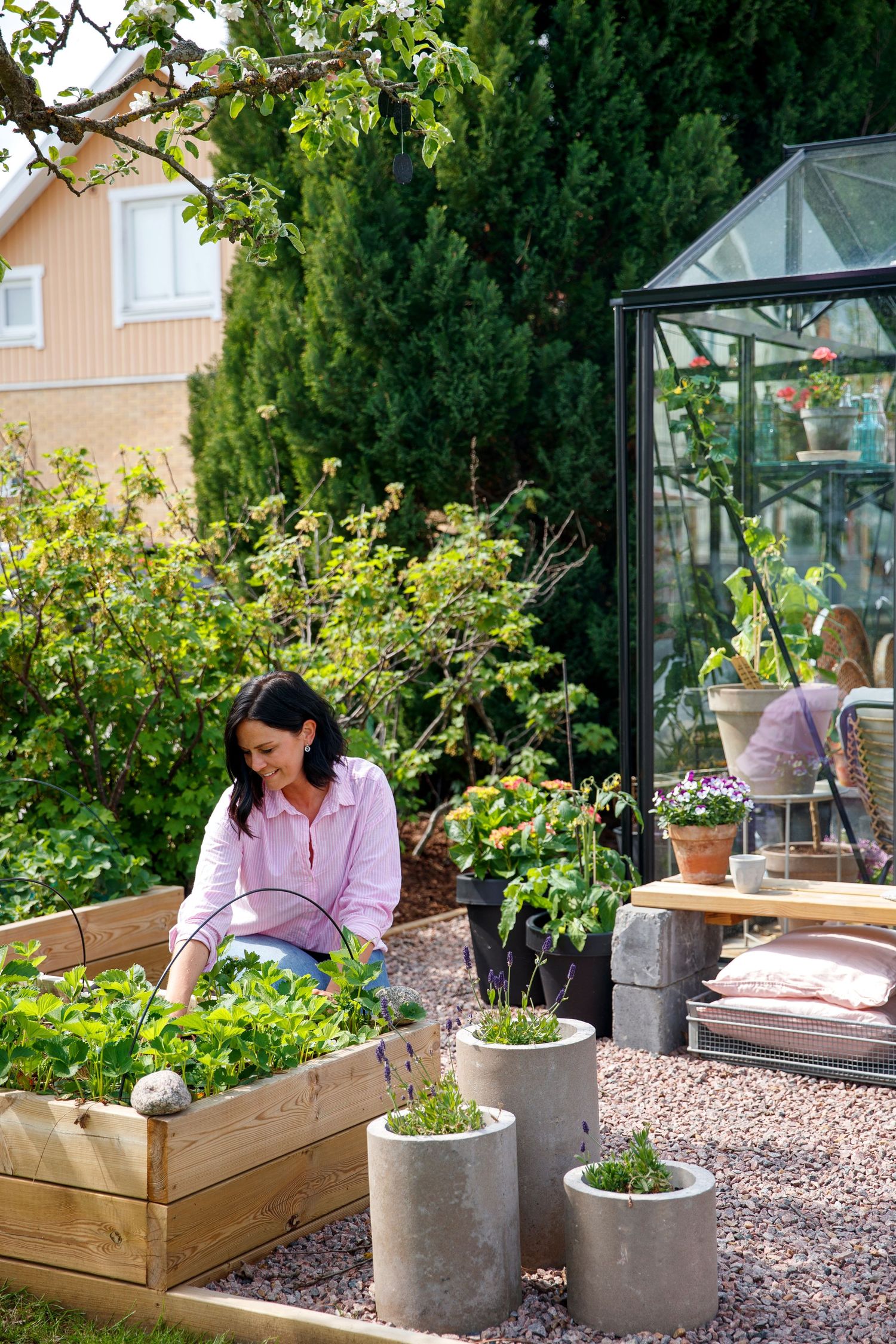Garden beds with wooden planters and concrete pots in a sunny greenhouse setting.