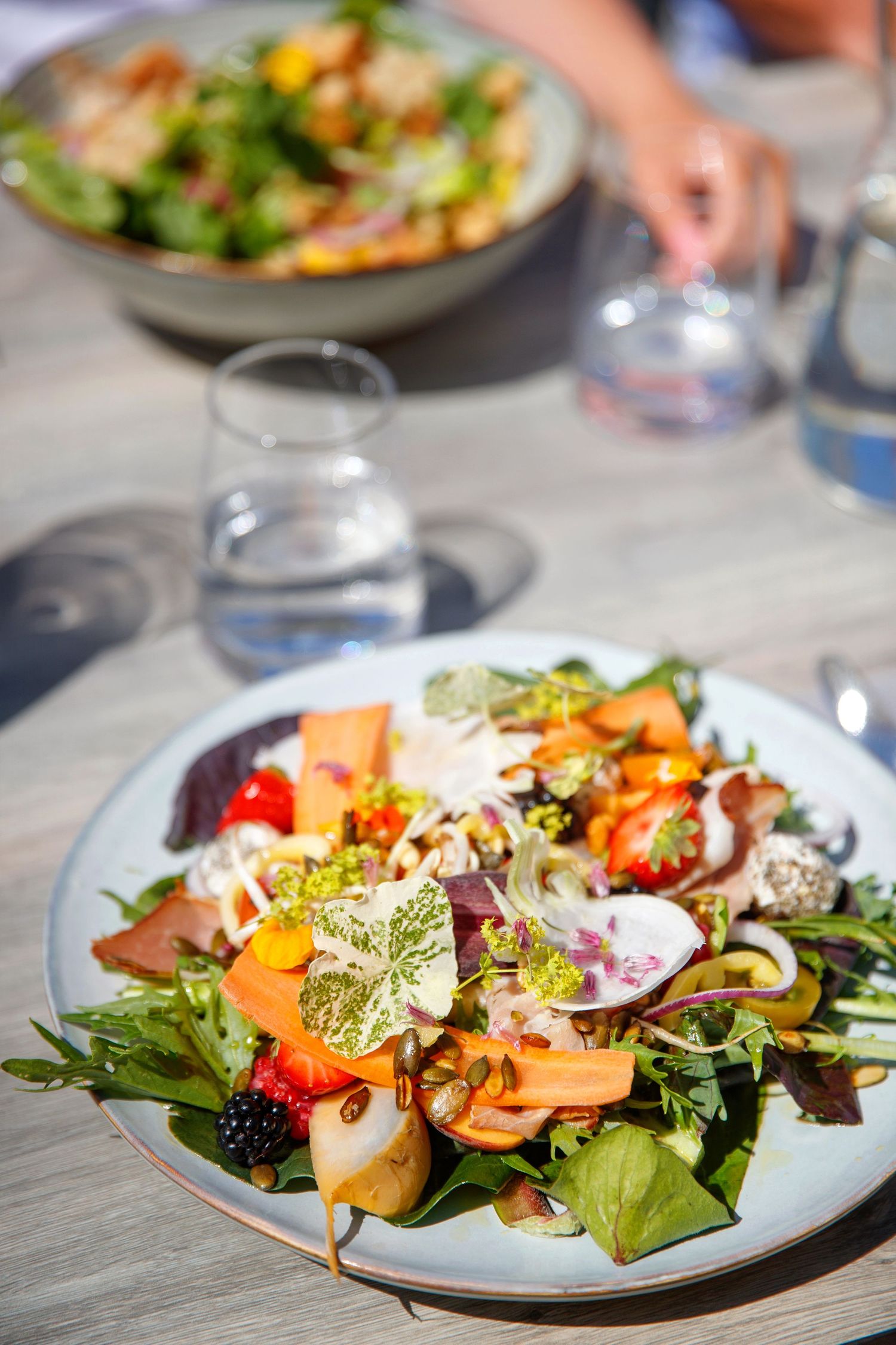 Beautifully plated salads with fresh greens, berries, and edible flowers on white dishes.
