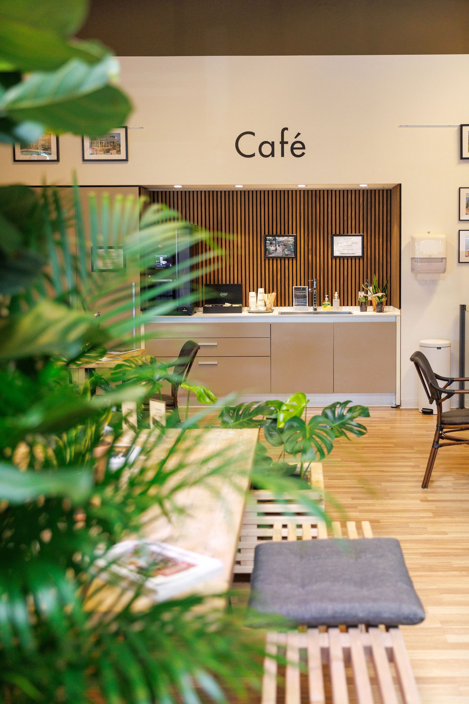 Modern cafe interior with wooden accents and plants showcasing minimalist design.
