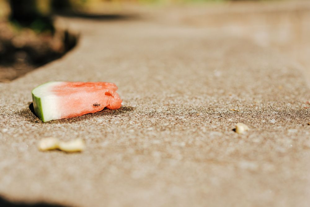 A discarded watermelon rind sits onconcrete ground in shallow focus.