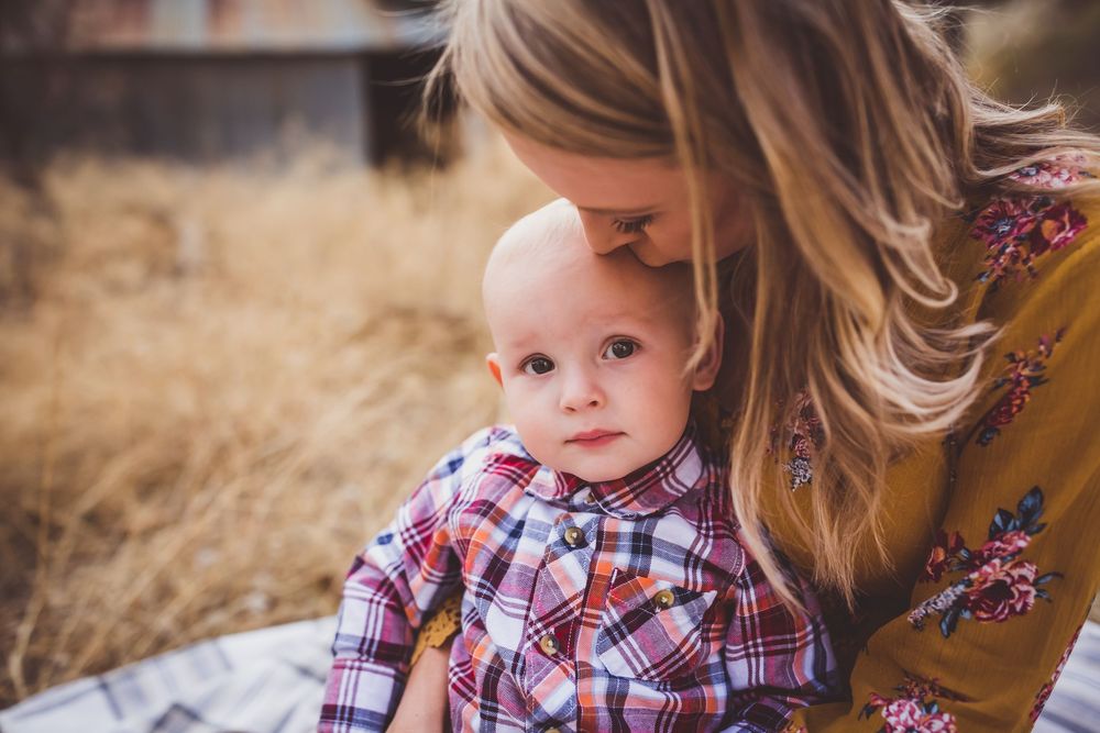 A series of candid moments in a golden field with plaid clothing and soft sunlight creating a warm, nostalgic atmosphere.