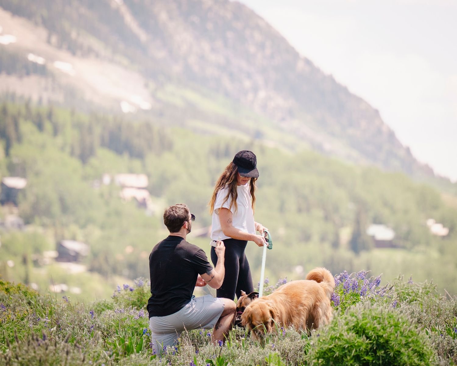 People and dogs relaxing on mountainside with scenic alpine backdrop.