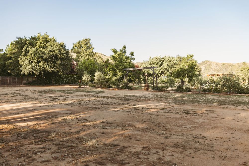 Empty dirt lot with scattered trees and hills in the background under cloudless sky.