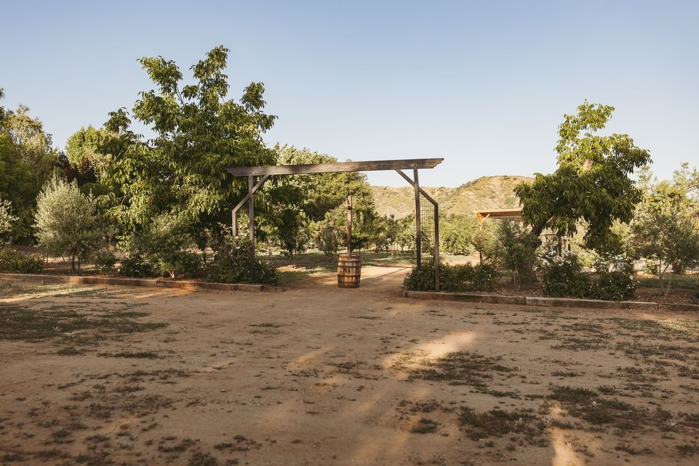 A wooden pergola structure stands in a desert landscape with trees and shrubs surrounding the area.