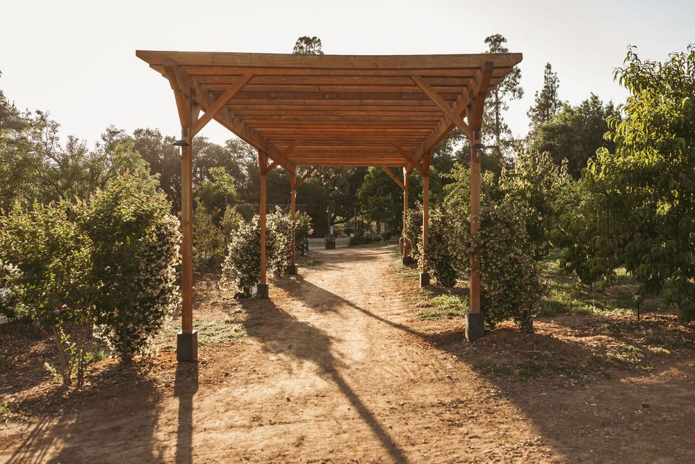 A wooden pergola walkway with string lights creates a path through a garden setting at sunset.