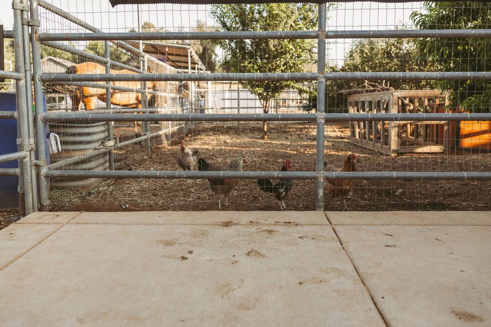 Metal construction fencing surrounds a dirt area at a construction or development site.