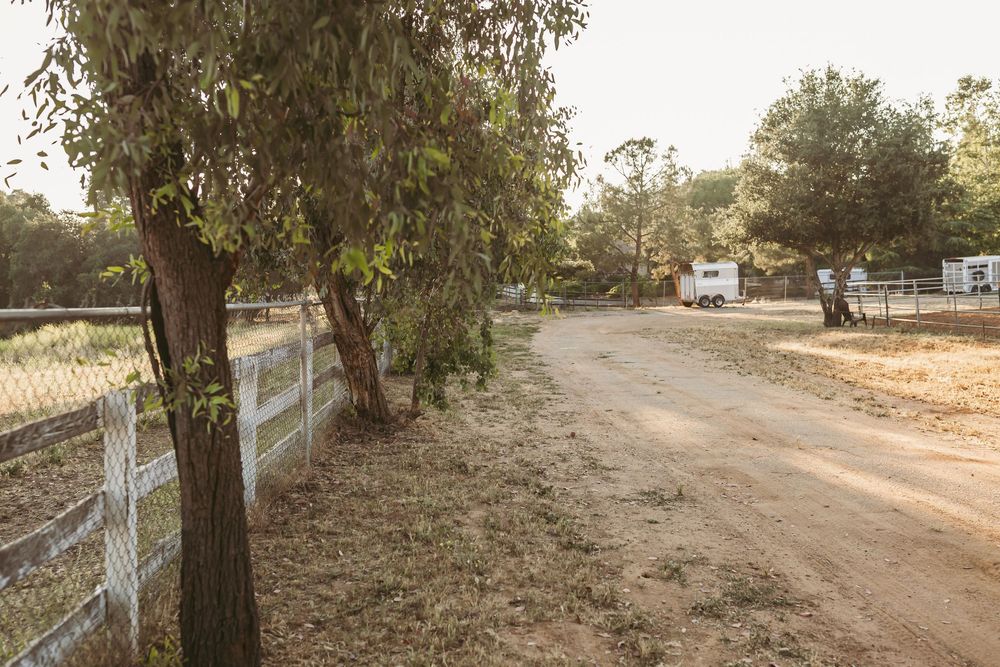 Dirt path alongside white fence and eucalyptus trees in countryside setting.