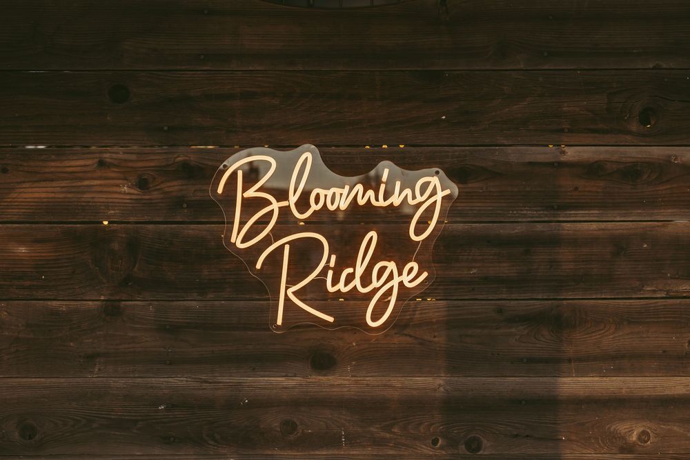 Orange neon sign reading 'Blooming Ridge' mounted on dark wooden wall.