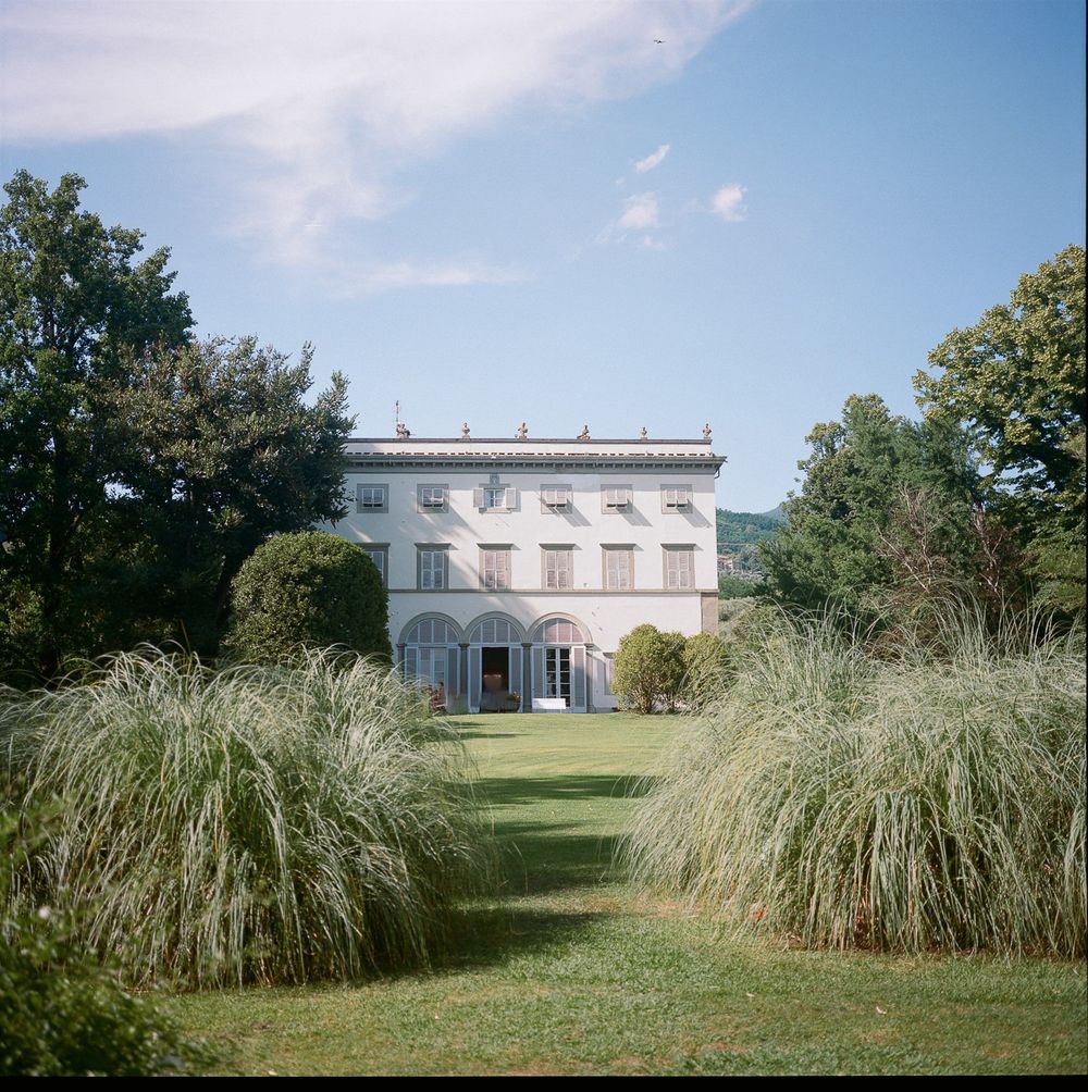 Elegant white villa with ornamental grass landscaping under bright blue sky.