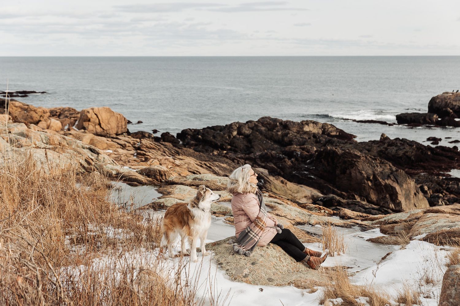 A person and dog sit on snowy coastal rocks overlooking a dramatic winter ocean landscape.