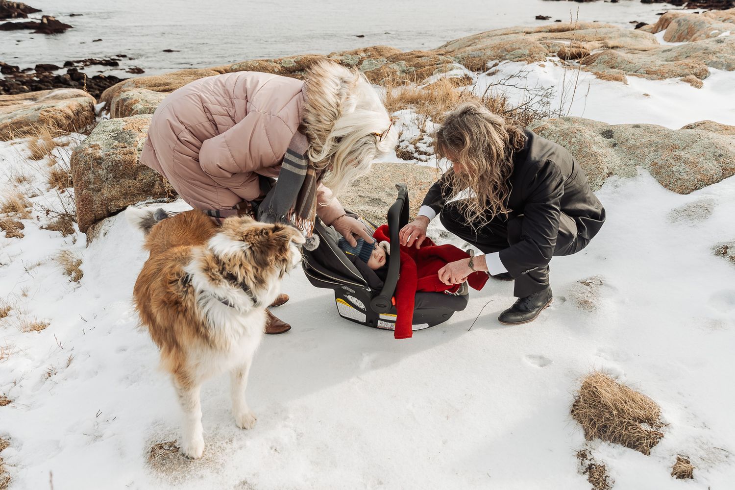 A fluffy collie dog stands in the snowy landscape while people photograph at a rocky coastal area.