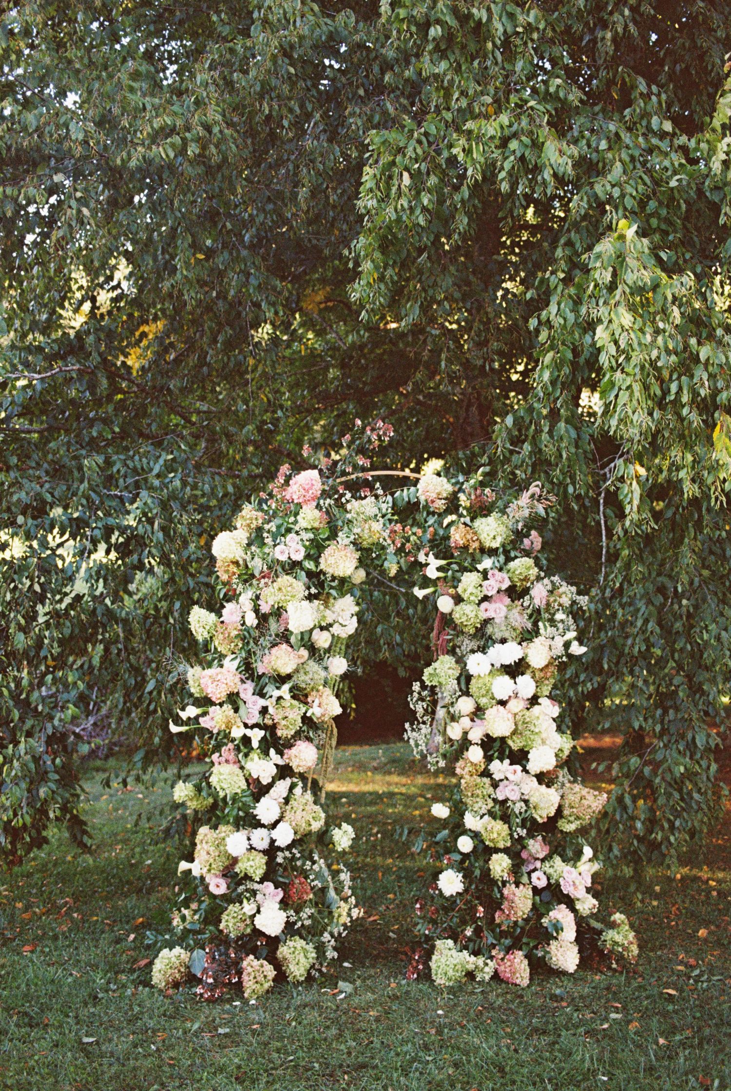 A romantic floral arch with white and pink roses creates an enchanting wedding ceremony backdrop in a garden setting.