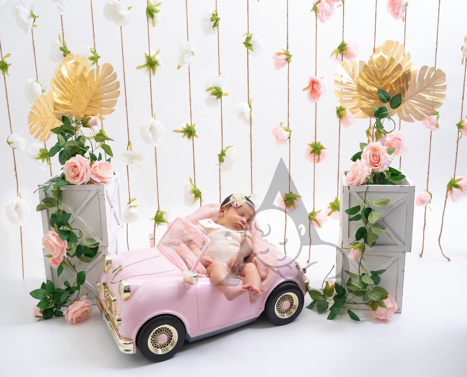 Newborn Baby Posing in Car with flowers