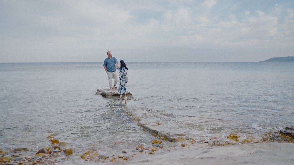 Two figures and a dog stand on a rocky beach overlooking calm waters and distant hills.
