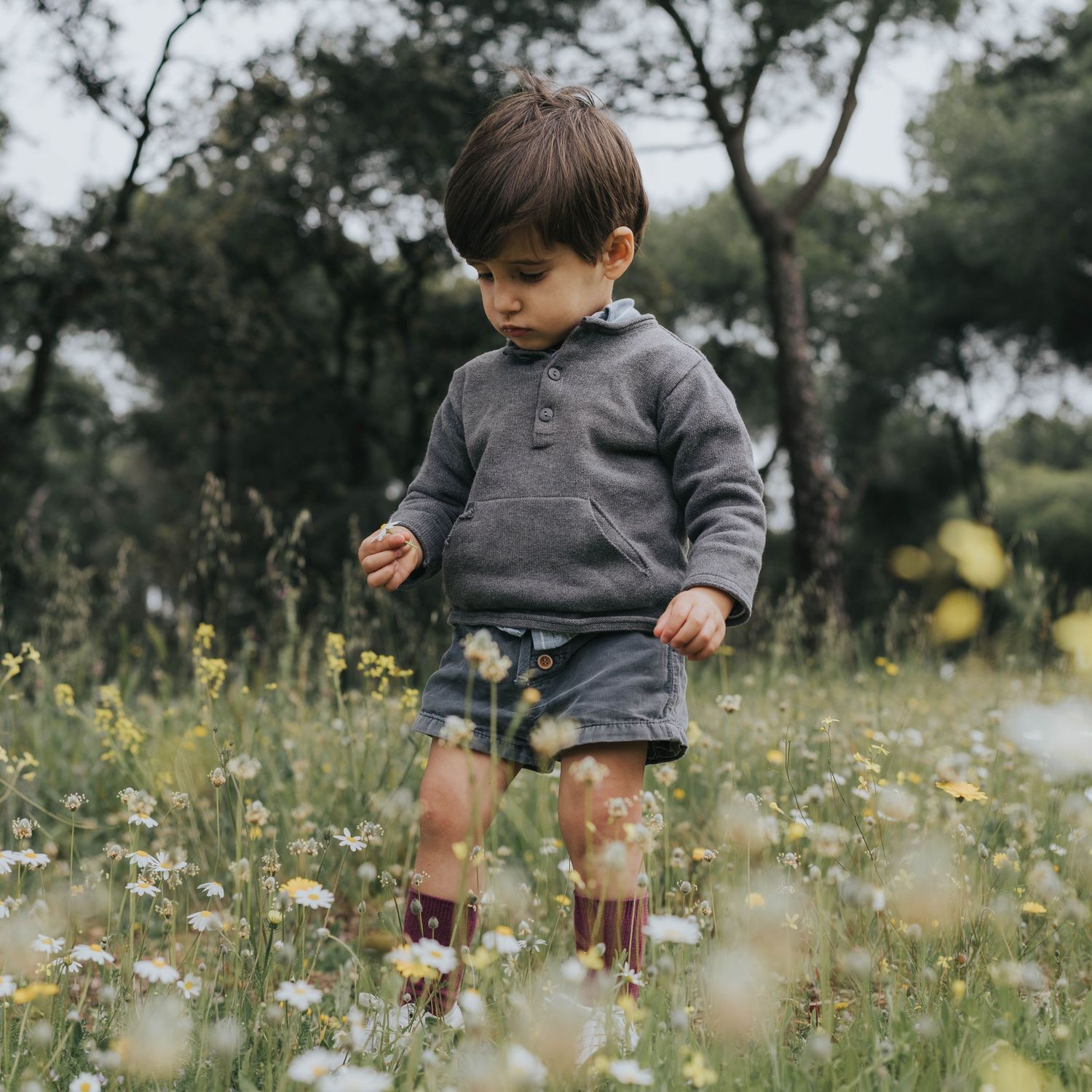 niño pijo recogiendo flores en el campo. primavera. Las Rozas, Madrid