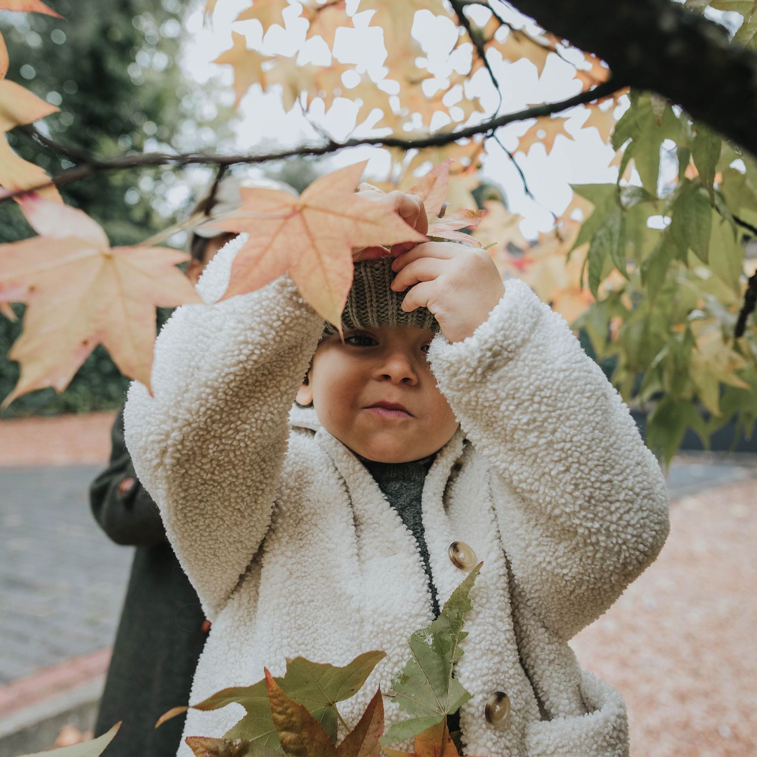 escenario otoñal. niño con abrigo calentito jugando con las hojas secas del otoño