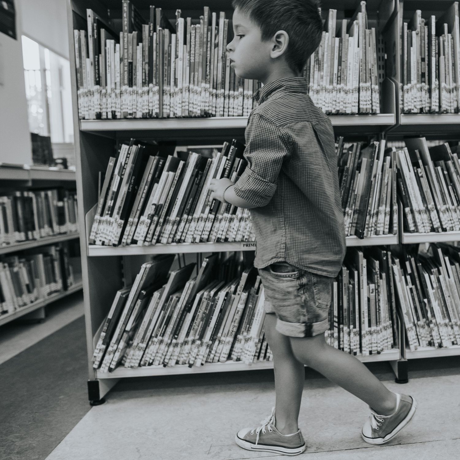 un día en la biblioteca publica municipal Jose de Vicente Muñoz. niño buscando livros y cuentos. lectura infantil