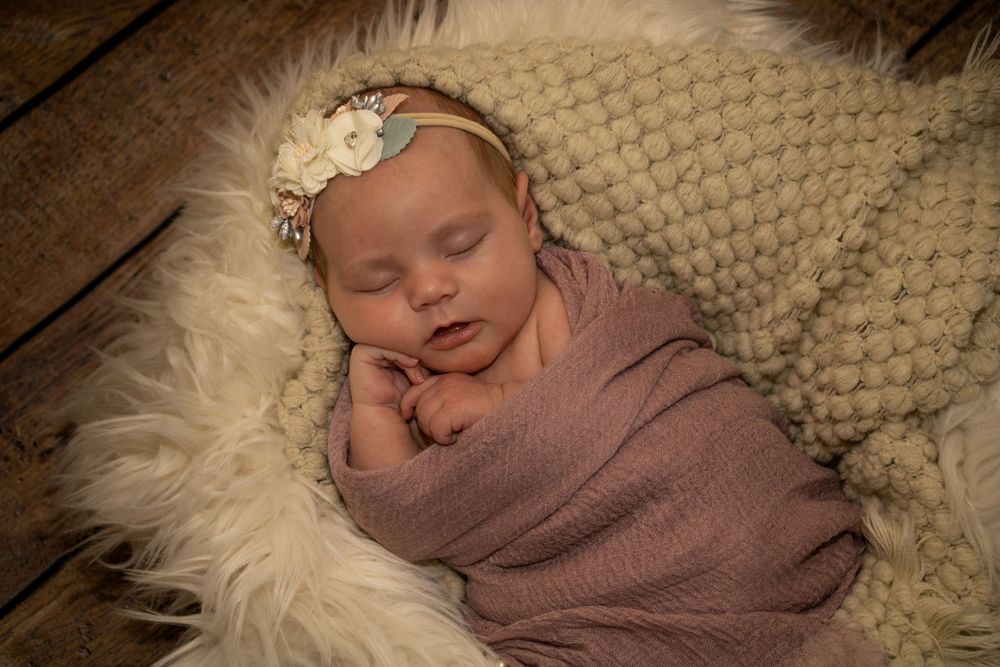Newborn, Rachel Collins Photography, LLC