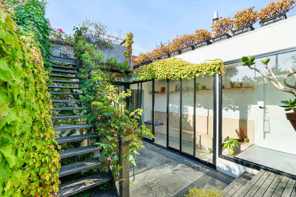 Outdoor staircase covered in lush green vines leading to glass-enclosed living space.