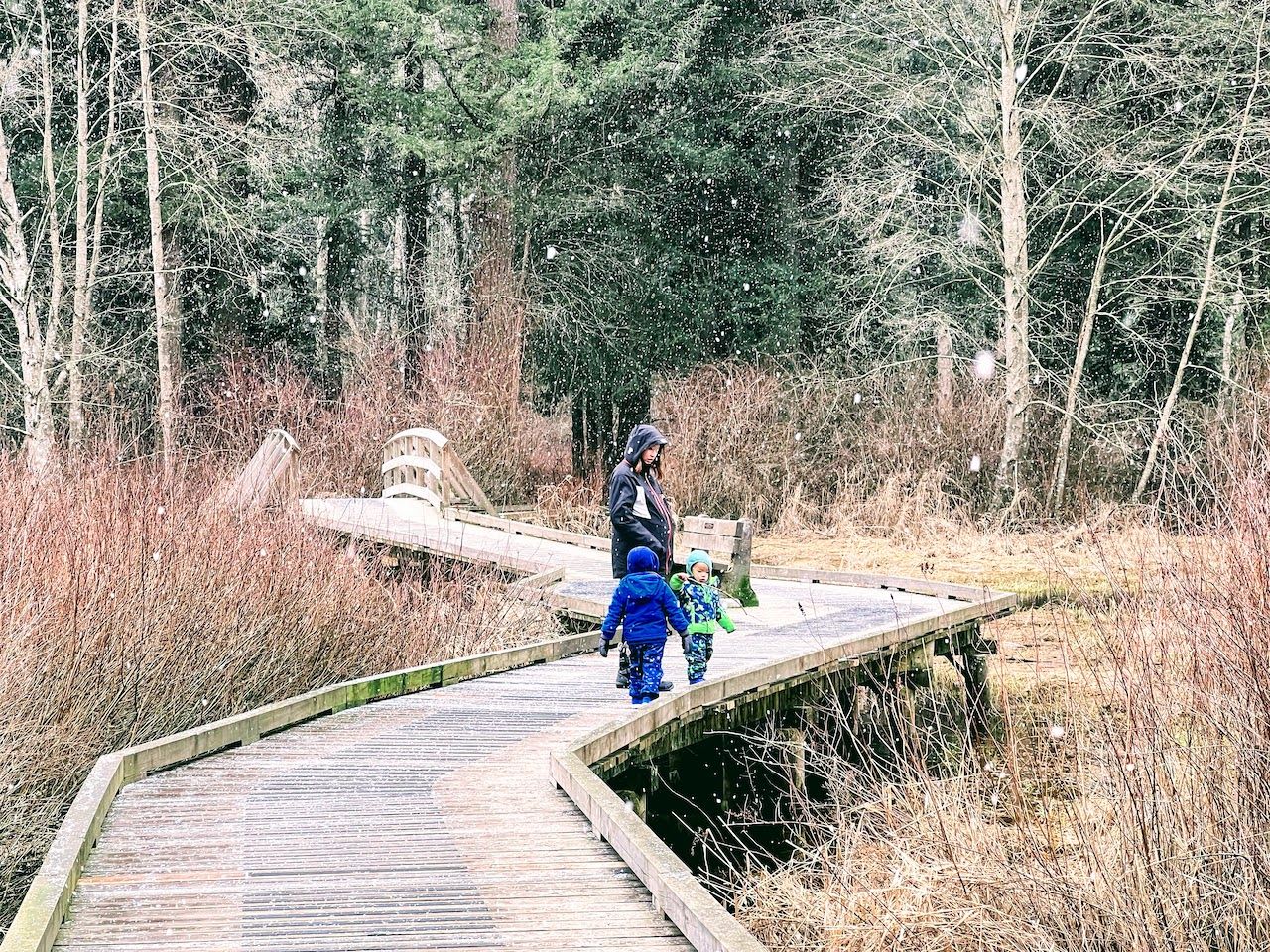 Campbell valley park offers tall grass, large field, forest and trail walk, pond and a lot of nature. Perfect place for family photography.