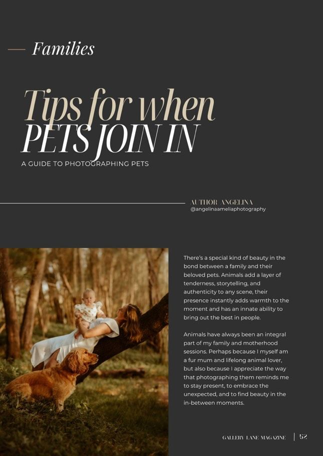 A brown dog leaping through a sunlit autumn forest with article title about photographing pets.