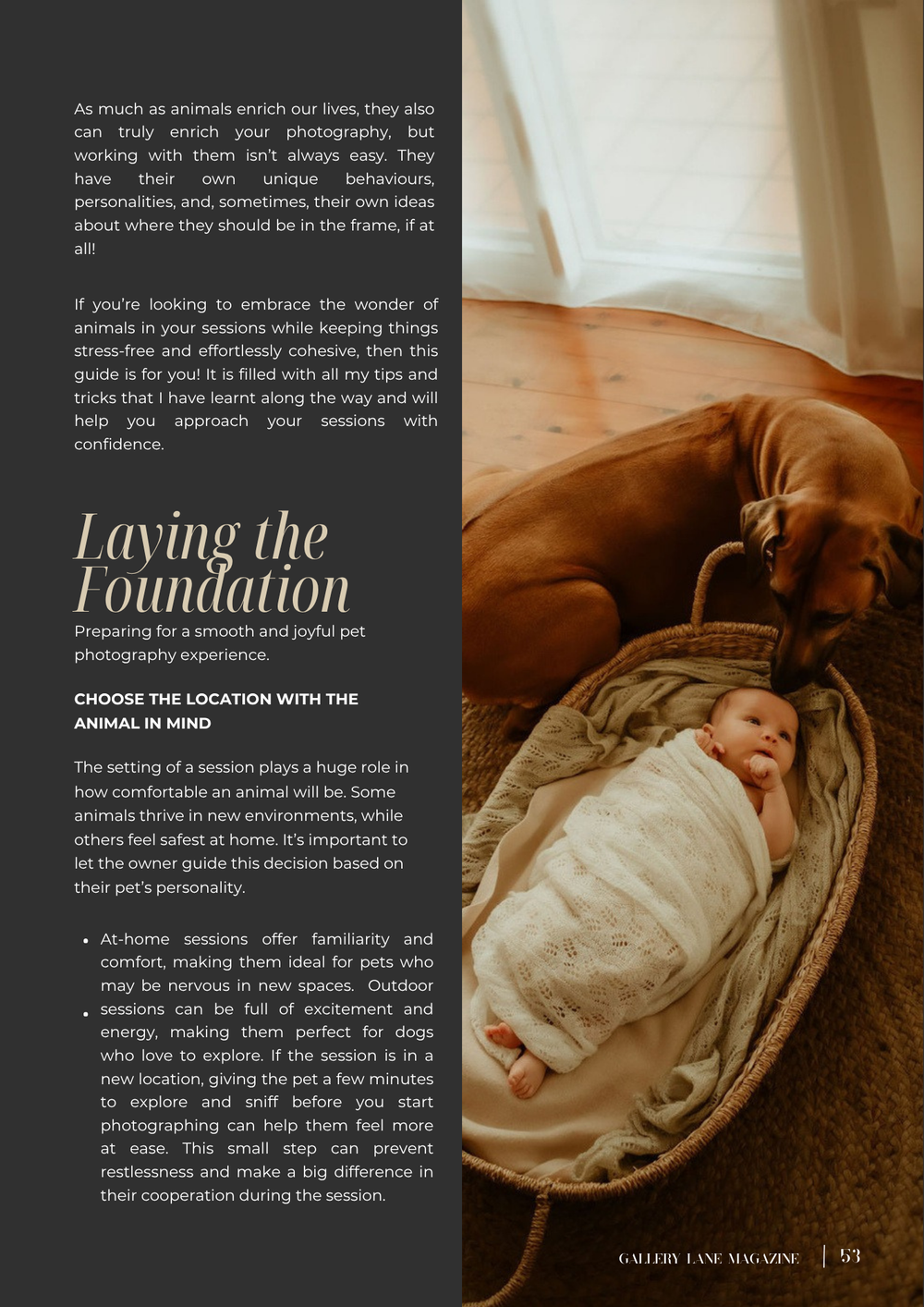 Magazine spread showing intimate lifestyle photography with soft neutral tones and text overlays about photography sessions.