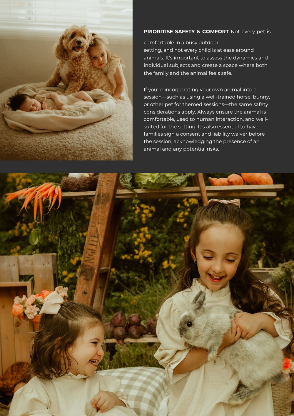 Two golden retrievers resting on a beige cushion while children play with a bunny in a sunlit garden below the text.