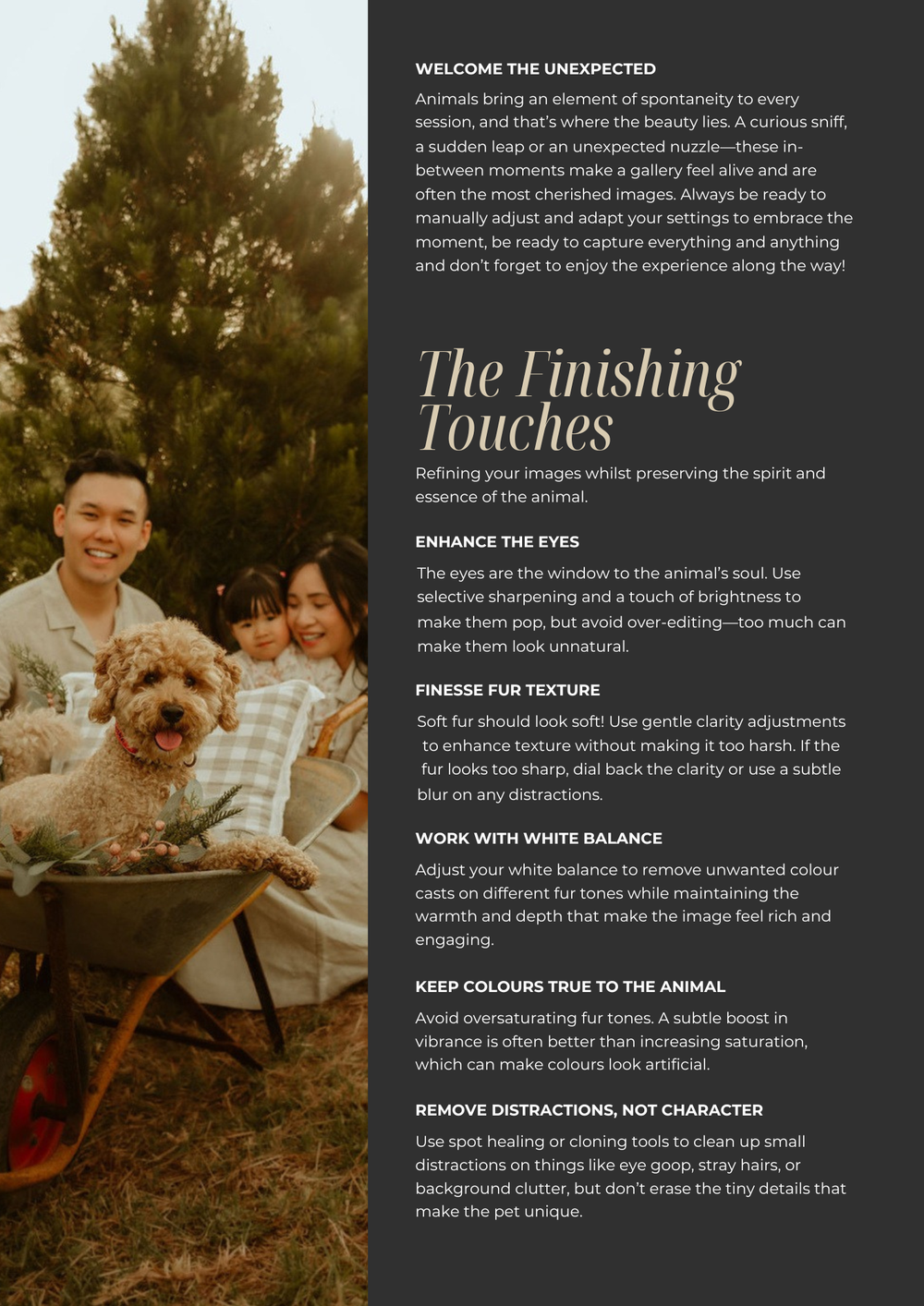 Photography tutorial page showing tips for pet photography with sample images and text overlays.