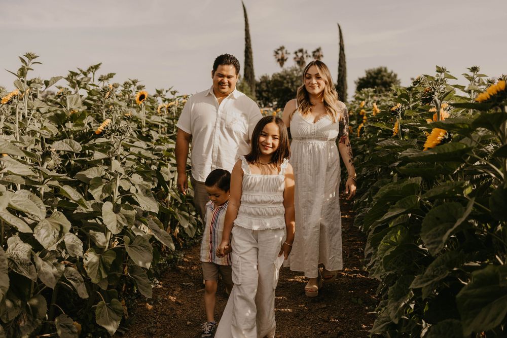 A couple poses together in a sunflower field during a warm summer day.