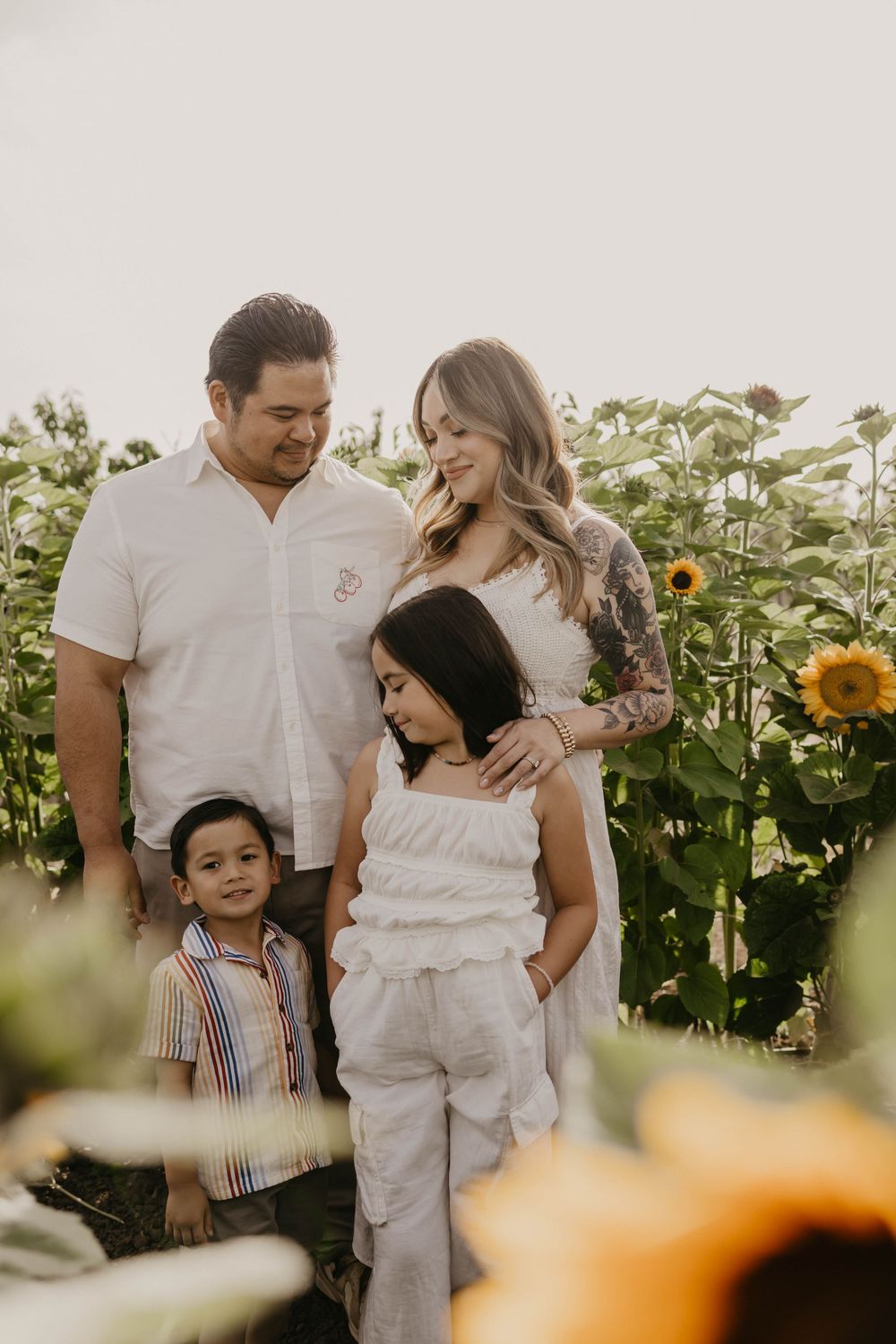 A family poses together in a sunflower field during golden hour, wearing coordinated white and neutral outfits.