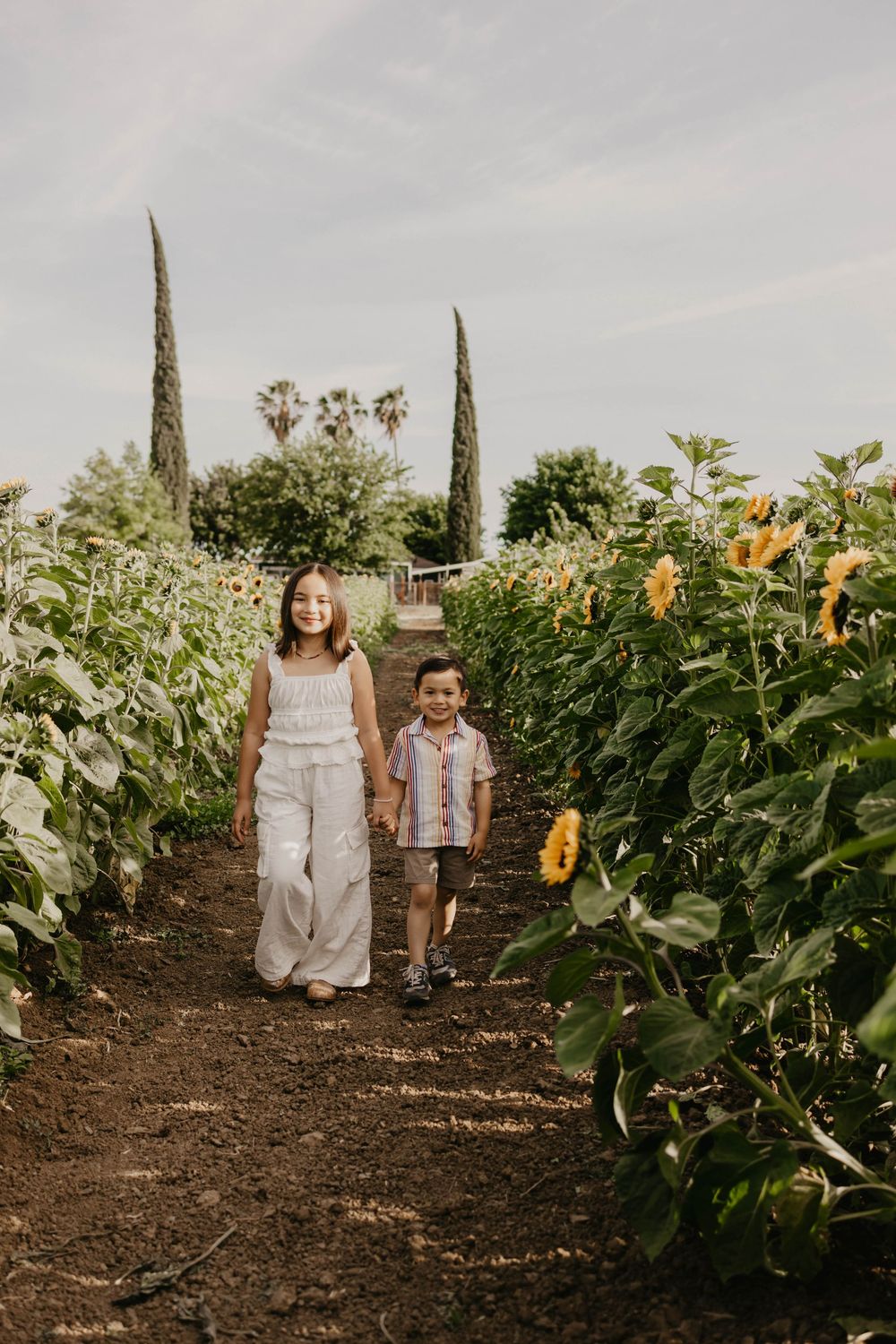 Two small children walking through a garden path lined with tall sunflowers and leafy plants on a sunny day.
