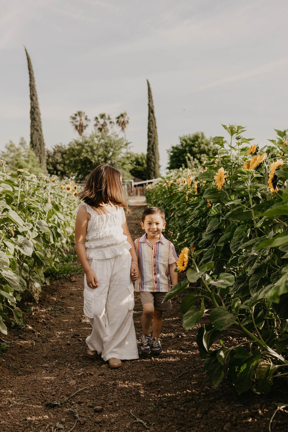Two children walk down a garden path lined with tall sunflowers and cypress trees on a sunny afternoon.
