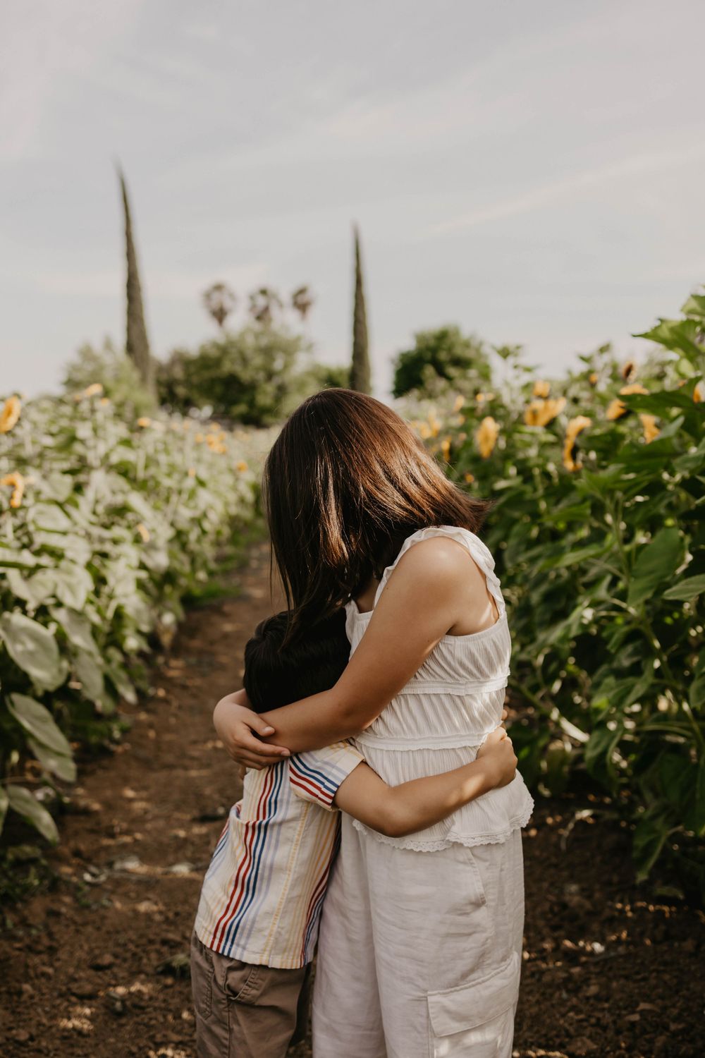 A series of romantic photos showing a couple embracing in a sunflower field at sunset.