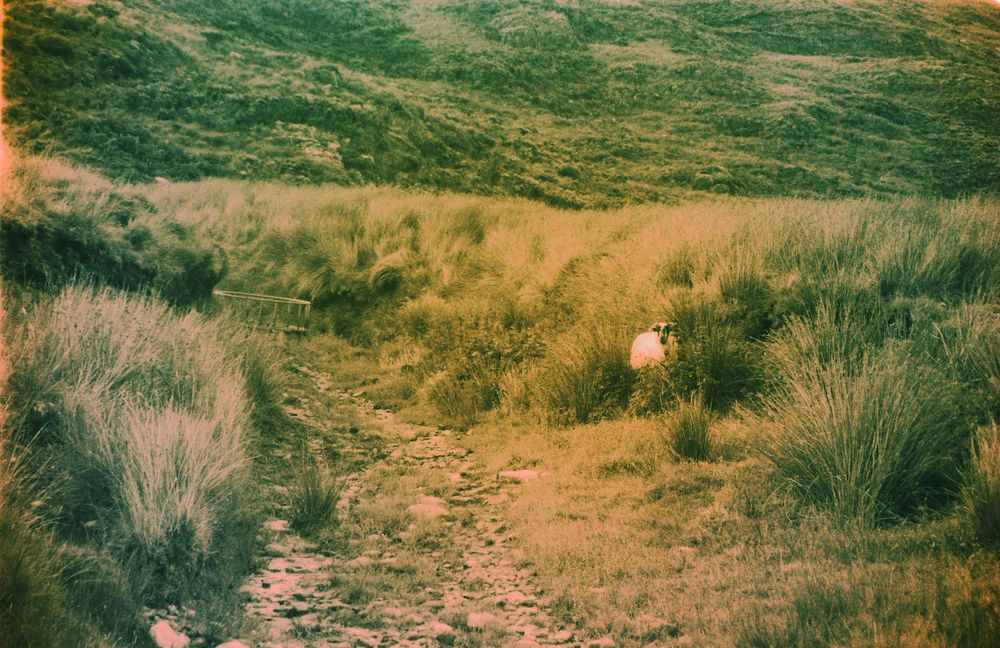 argentique - road trip irlande