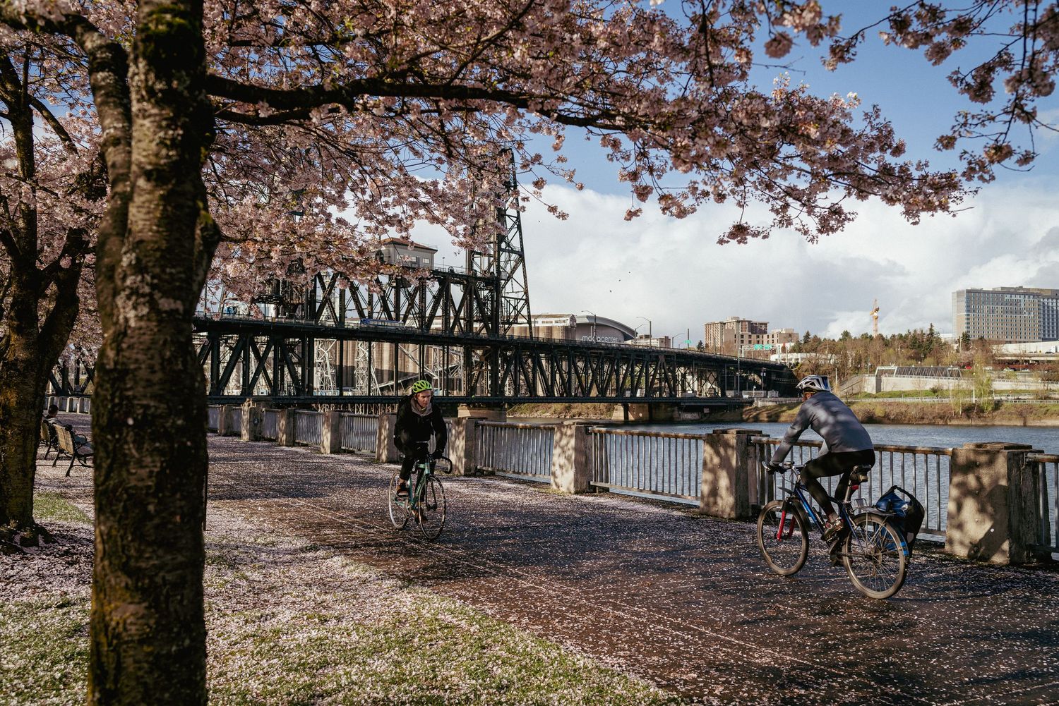 Couple bicycling along Portland Waterfront with cherry blossoms, Willamette River, and Steel Bridge in the background.