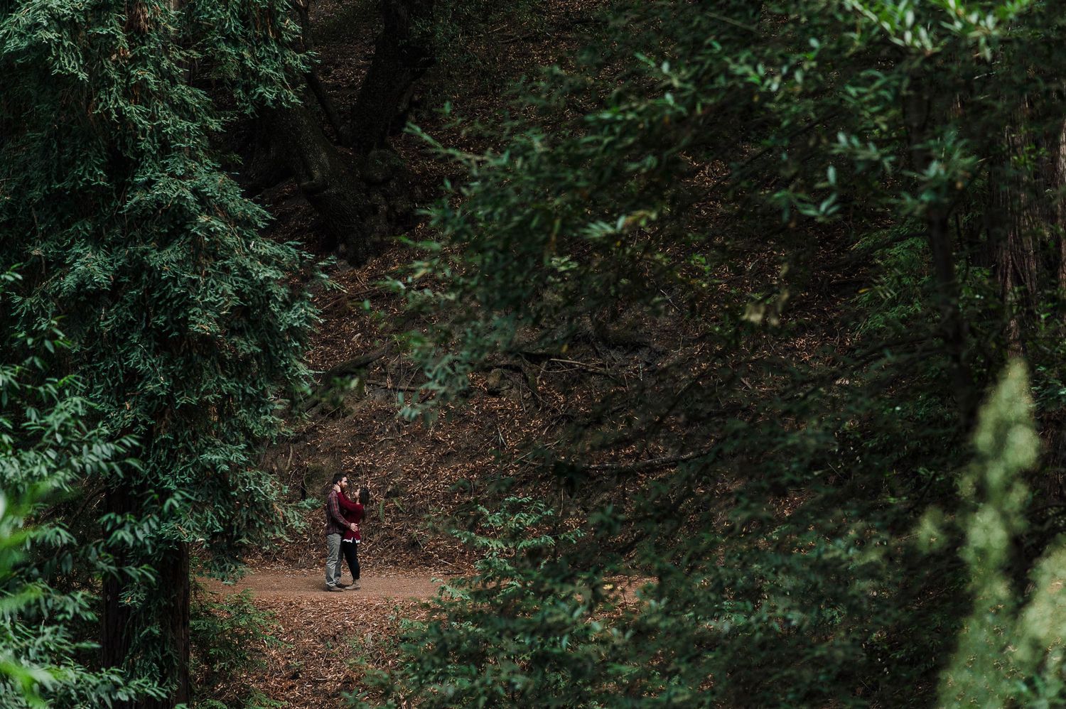 A hiker walks along a winding dirt path through a dense green forest canopy on a misty afternoon.