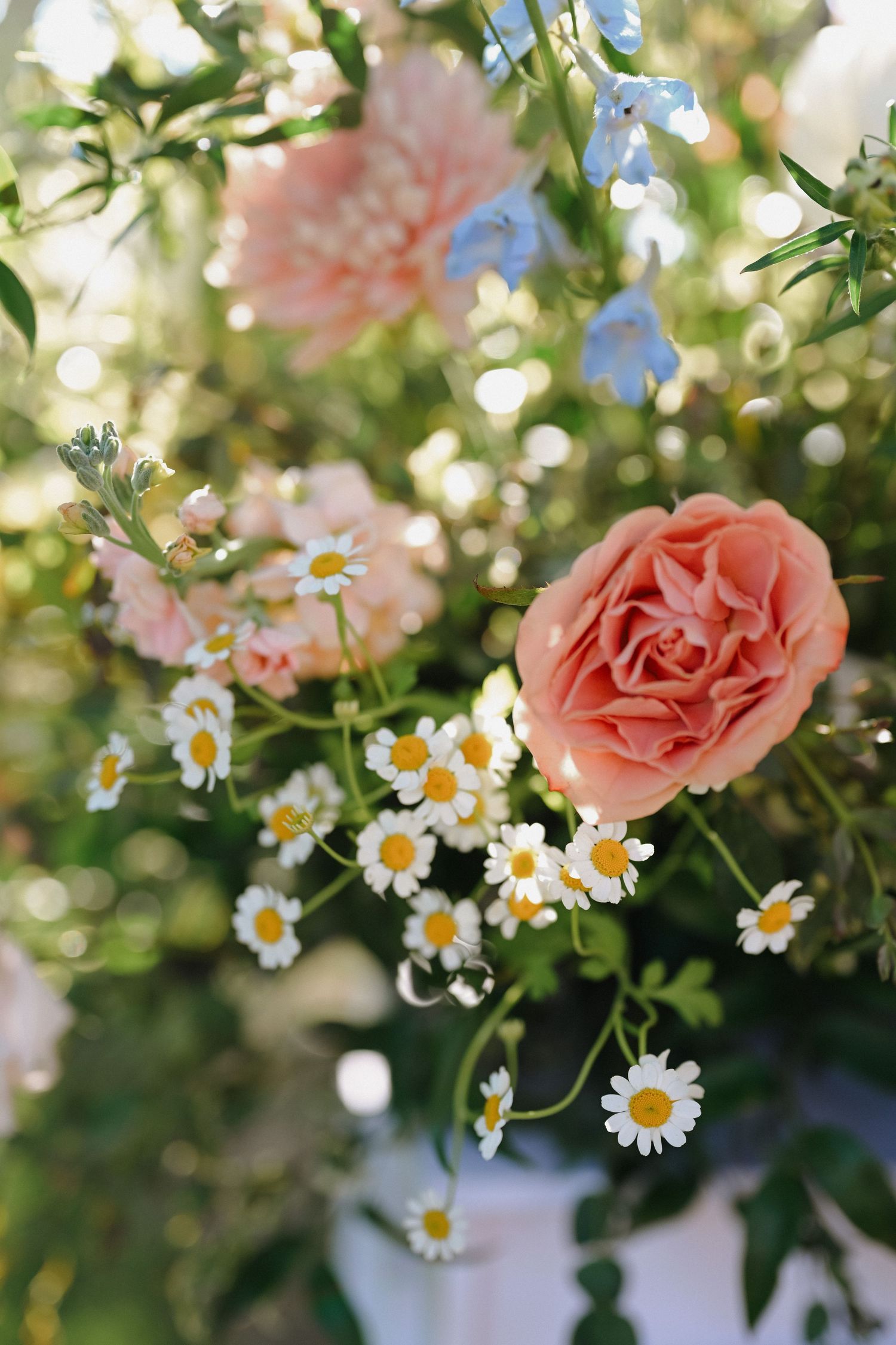 Beautiful garden arrangement with coral roses, daisies and delicate blue flowers in soft natural lighting.