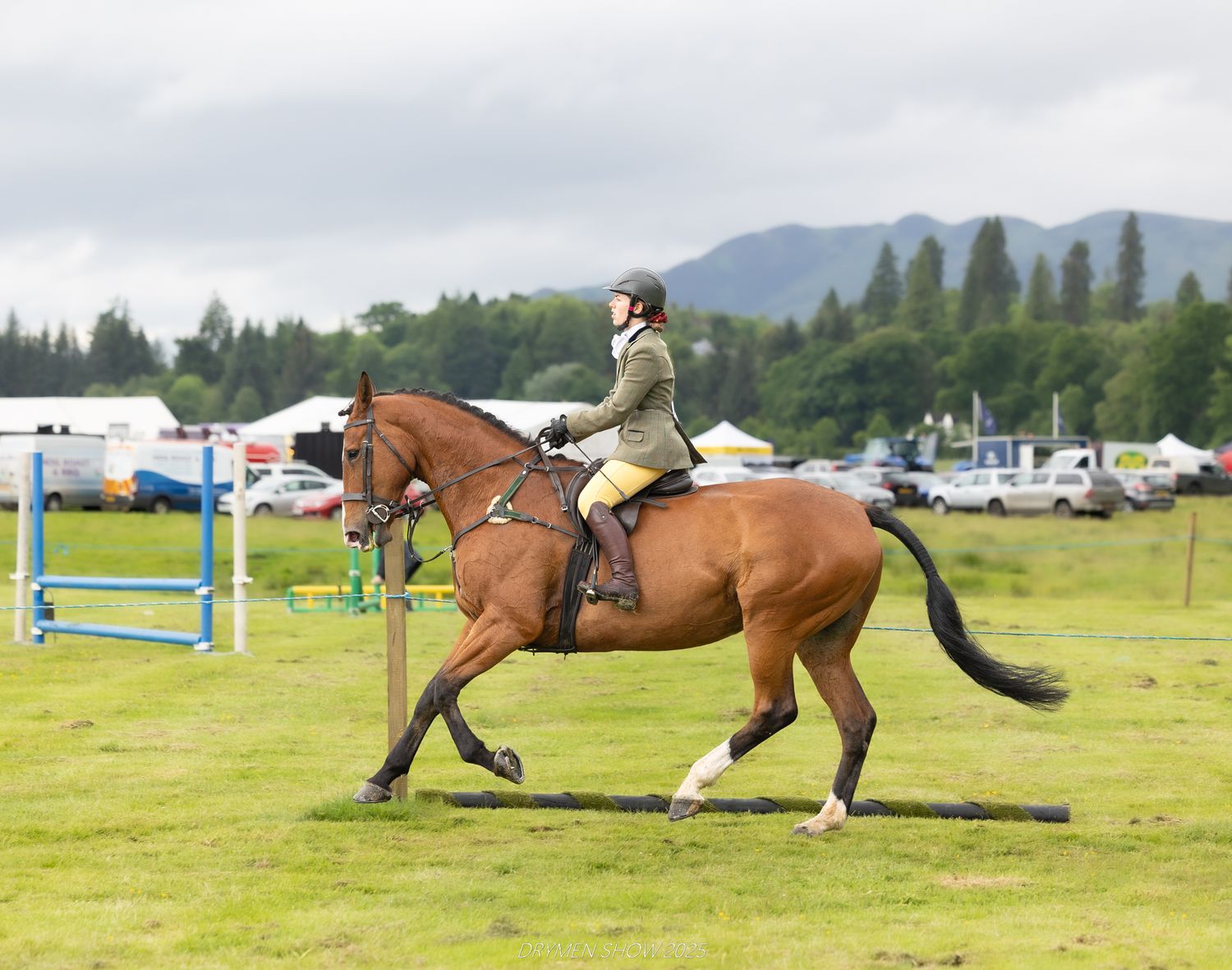 Equestrian competitor rides chestnut horse during show jumping event on green field with mountains in background.