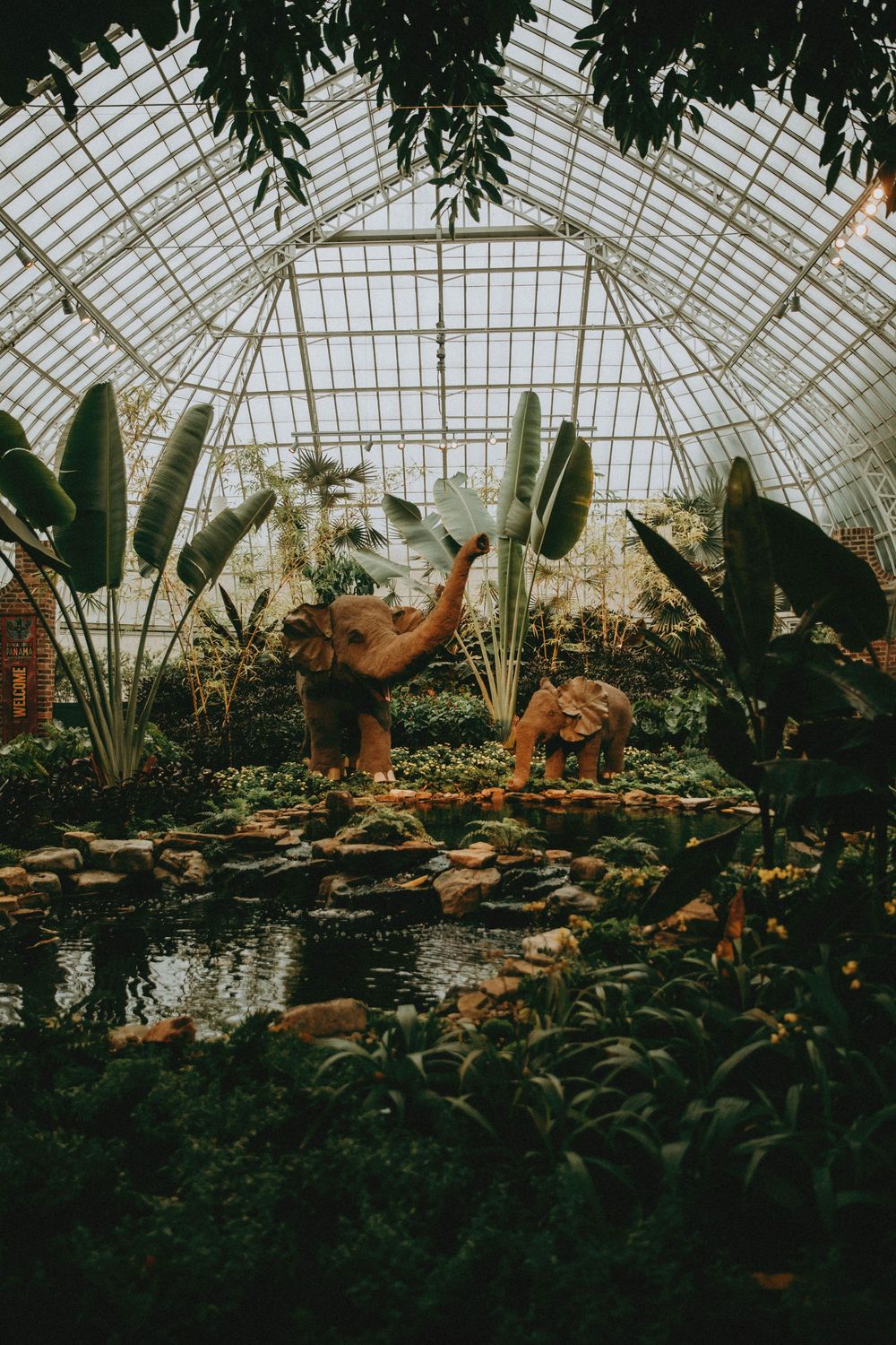 Ornate botanical garden greenhouse interior with tropical plants and stone landscaping around a reflecting pond. pittsburgh photographer
