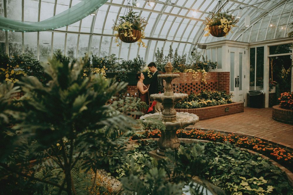 Interior of a vintage greenhouse conservatory with lush plants, hanging baskets pittsburgh photographer