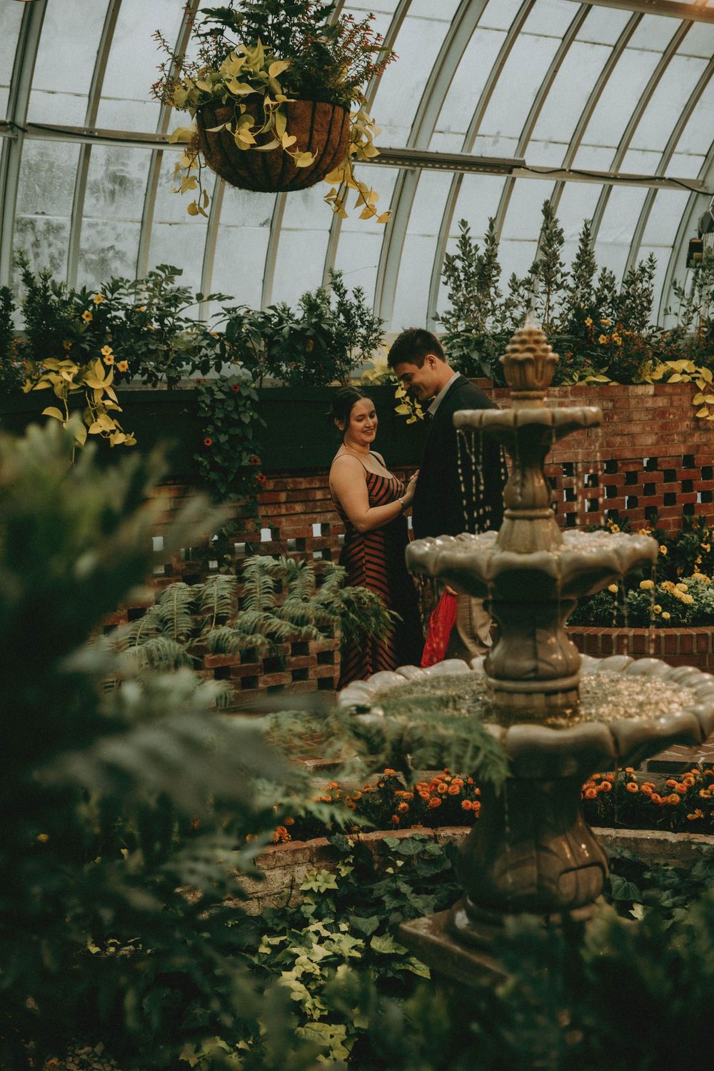 a romantic proposal at phipps conservatory pittsburgh photography indiana pa photographer, couple, engagement moody rainy tropical