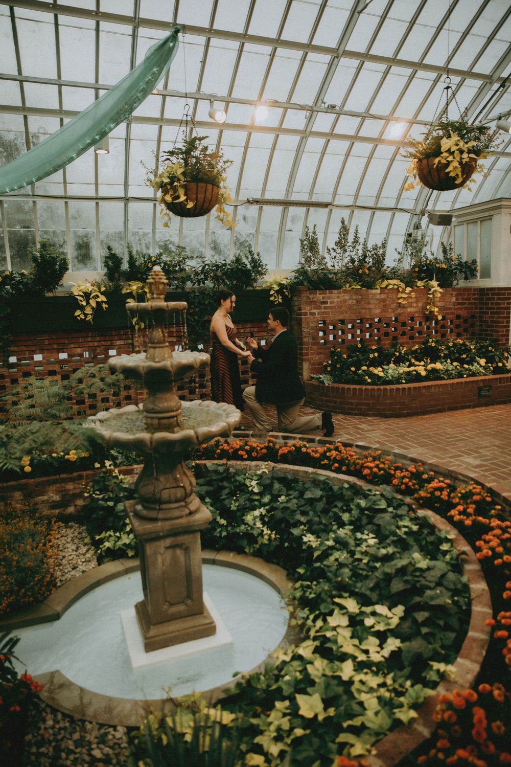 a romantic proposal at phipps conservatory pittsburgh photography indiana pa photographer, couple, engagement moody rainy tropical
