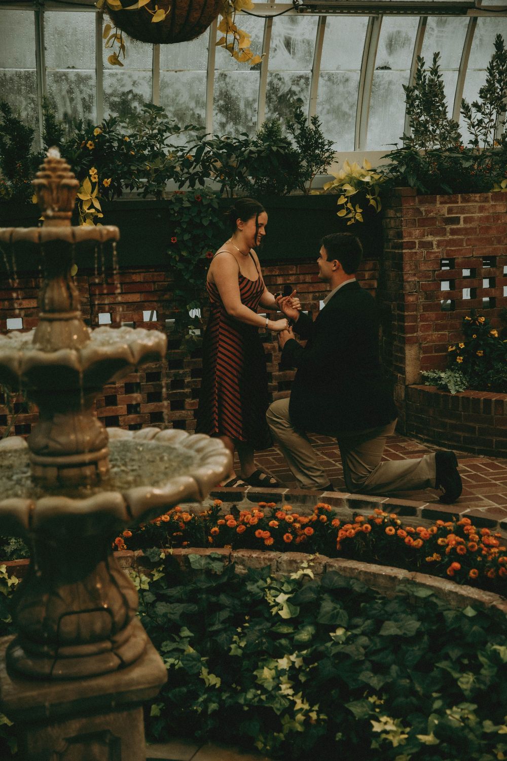 a romantic proposal at phipps conservatory pittsburgh photography indiana pa photographer, couple, engagement moody rainy tropical