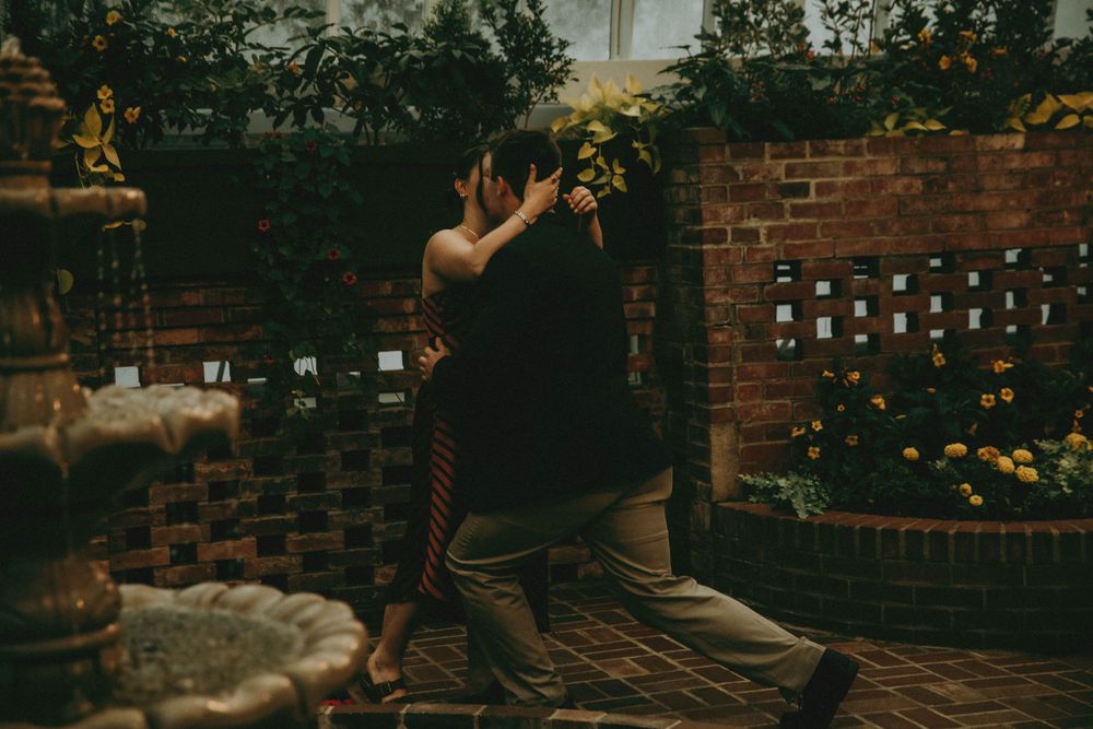 a romantic proposal at phipps conservatory pittsburgh photography indiana pa photographer, couple, engagement moody rainy tropical